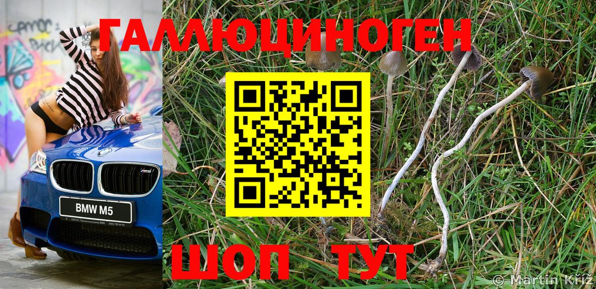 Псилоцибиновые грибы мухоморы Янаул