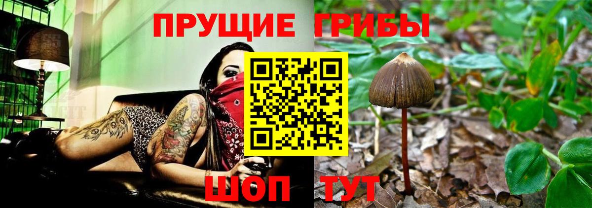 Псилоцибиновые грибы Cubensis  Вход с VPN  Янаул  Галлюциногенные грибы Magic Shrooms 